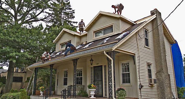 Best Roof Maintenance Services  in Ives Estates, FL