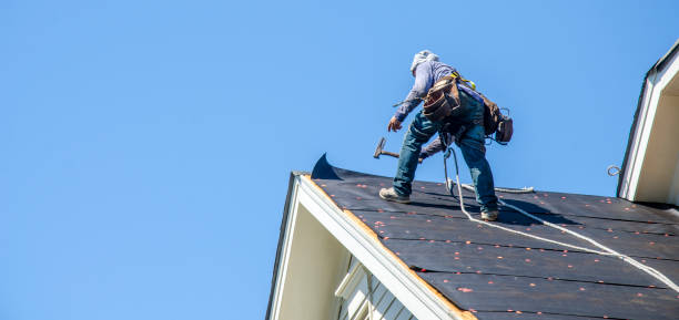 Best Commercial Roofing Services  in Ives Estates, FL